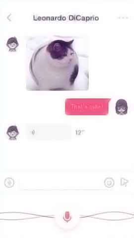 ddos攻击工具软件程序维护界面